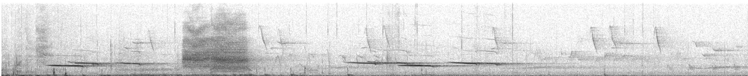 White-winged Chough - ML646728421