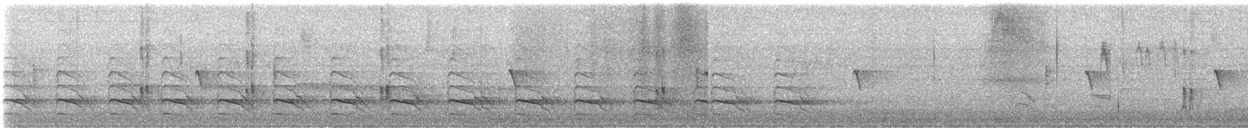 Red-shouldered Hawk - ML646728530