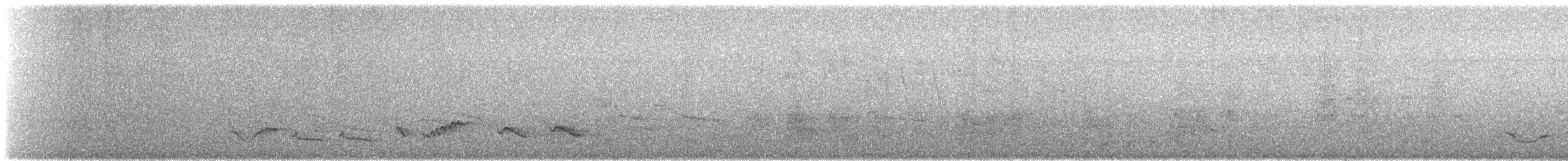 Zorzal Sabiá - ML646728804