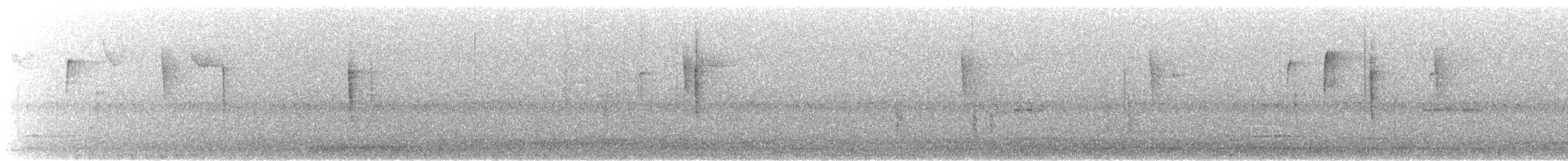 buskparula - ML646728916