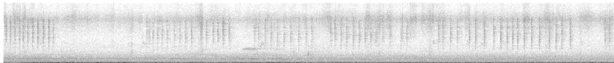 מלכילון אמריקני - ML646729117
