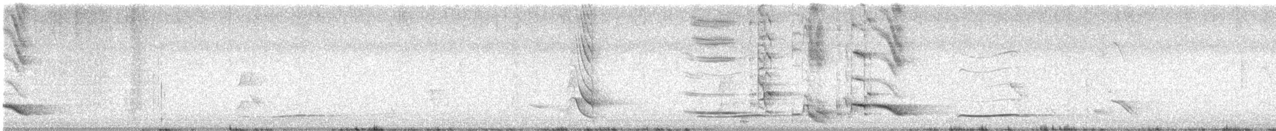 Australasian Figbird (Green) - ML646729131