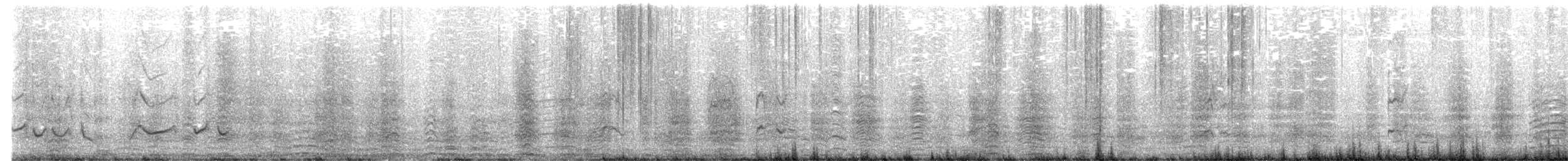 King Penguin - ML646729141