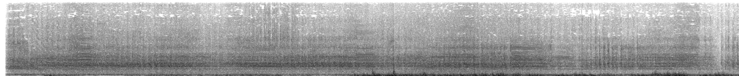 Royal Penguin - ML646729145