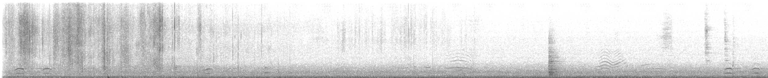 Snow/Ross's x Cackling/Canada Goose (hybrid) - ML646729172