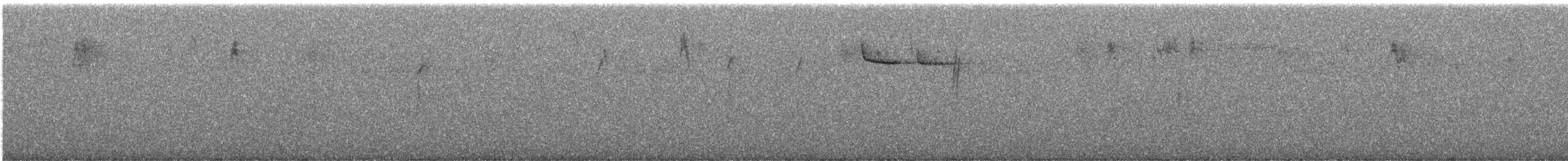 Brown Creeper - ML646729927