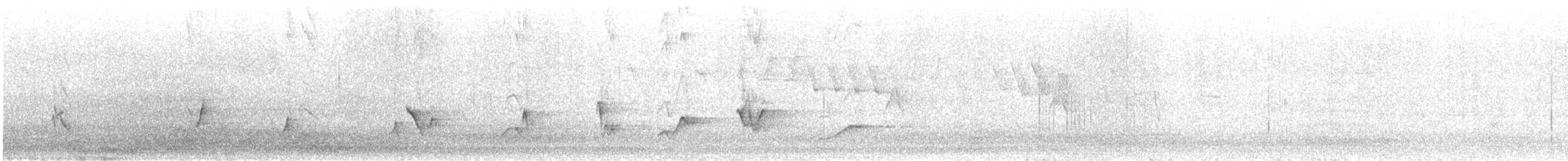 svarthodetykknebb - ML646730011