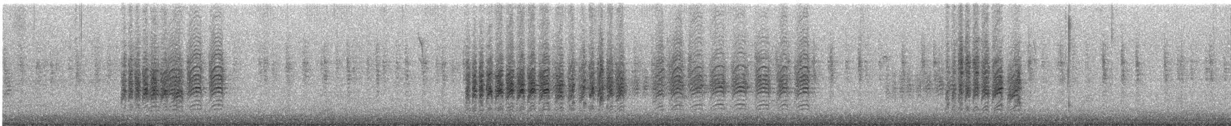 amerikameis - ML646730281