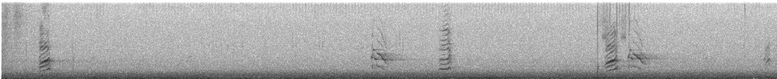 svartnebbskjære - ML646730290