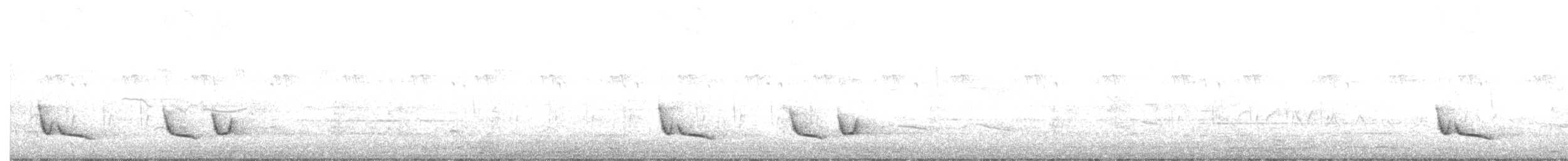 Red-chested Cuckoo - ML646730436