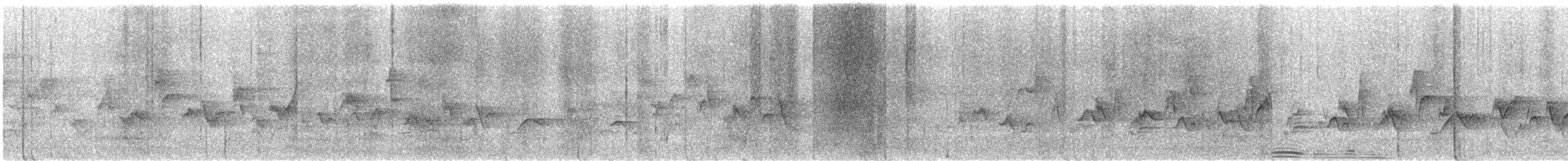 Vireo Gorjeador Occidental - ML646730486