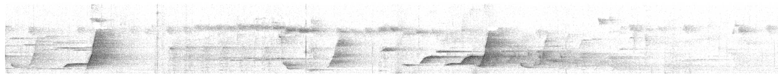 Silbador Dorado - ML646730497