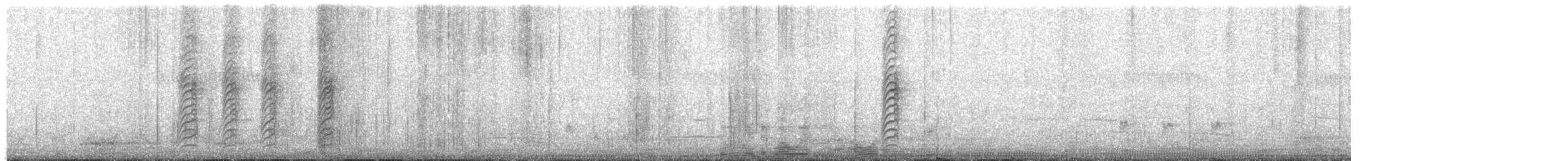 White-breasted Woodswallow - ML646730552