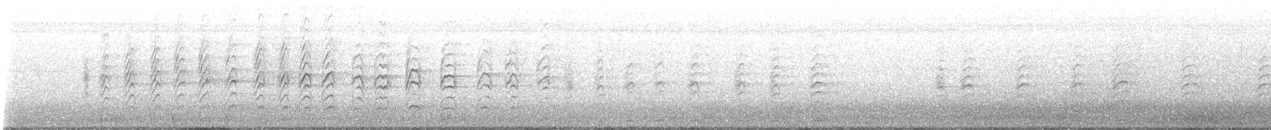 ostnák jihoamerický - ML646730570