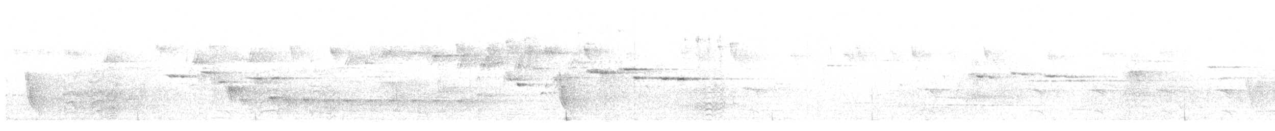 Wonga Pigeon - ML646730582