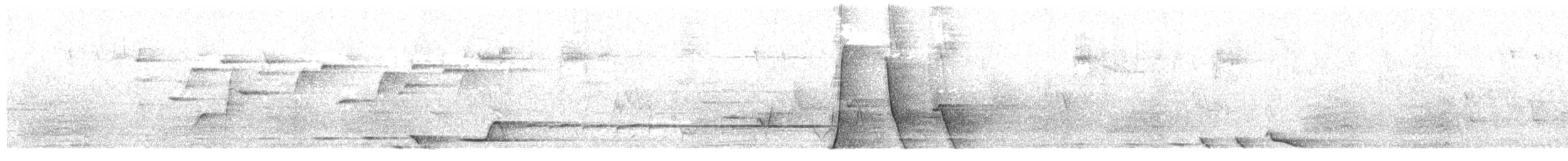 kosovec zvučnohlasý - ML646730586