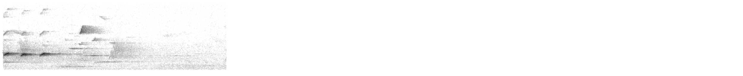 lezčík bělohrdlý - ML646730594