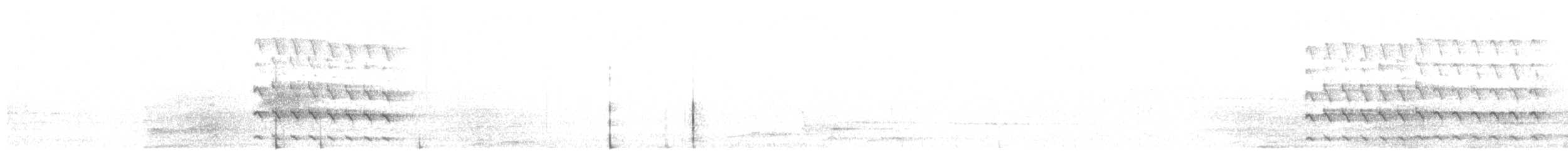 Collared Sparrowhawk/Brown Goshawk - ML646730596