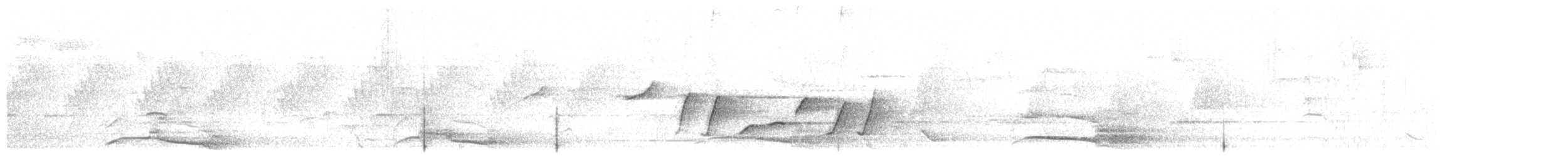 Yellow-tailed Black-Cockatoo - ML646730761