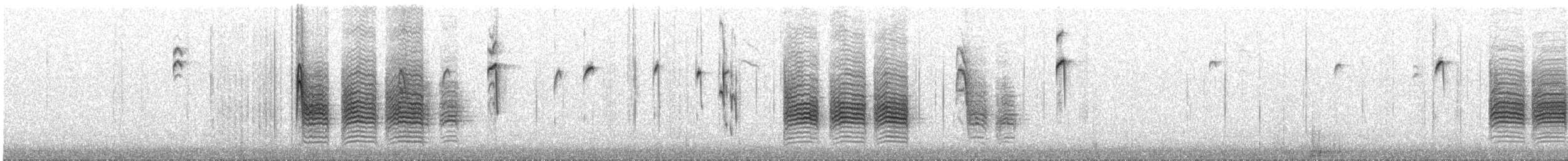 Schwarzkopfmeise - ML646730866