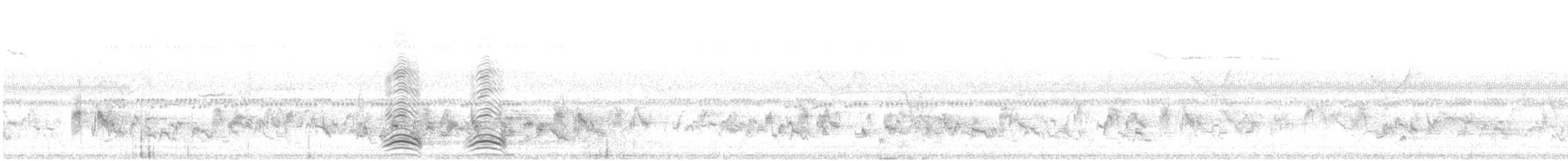 ハシブトガラス - ML646731077