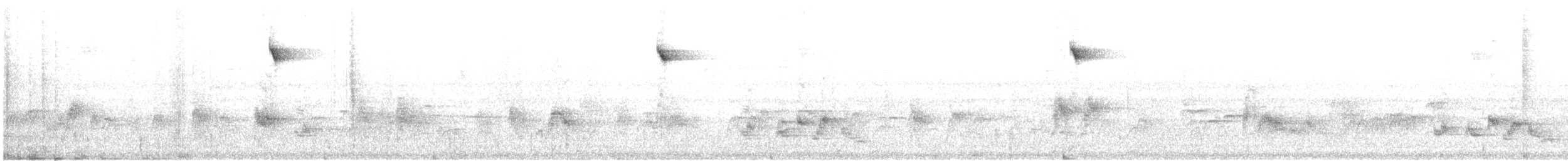 シマゴマ - ML646731105