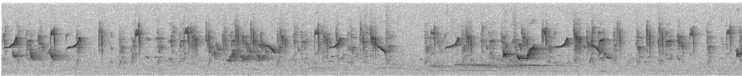 ハイムネハウチワドリ - ML646731230