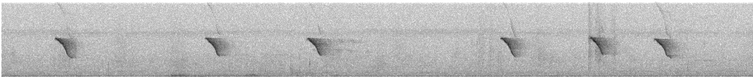 オナガサイホウチョウ - ML646731244