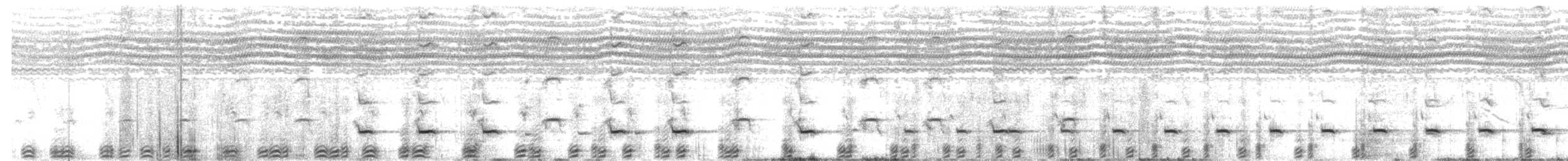 Red-crested Bustard - ML646731261