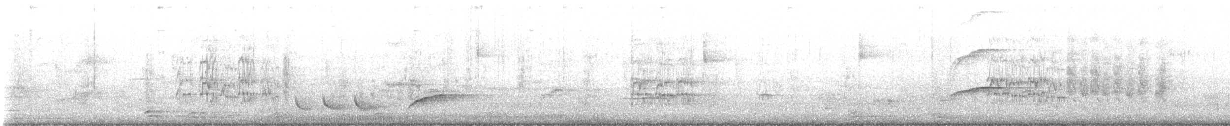 Toui à menton d'or - ML646731335