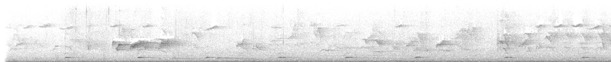 Coppersmith Barbet - ML646731475