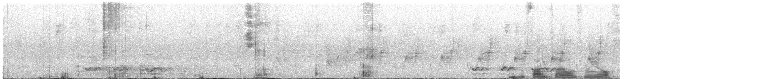 Pied Currawong - ML646731484