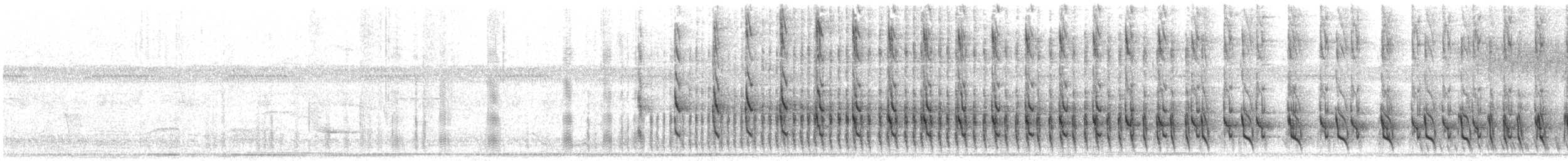 Rufous Cacholote - ML646731512