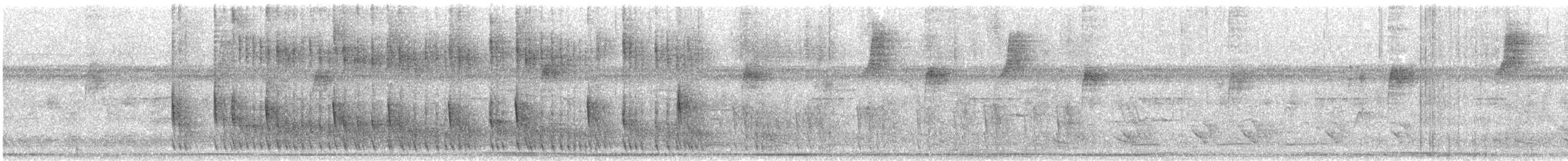 Plain Softtail - ML646731566