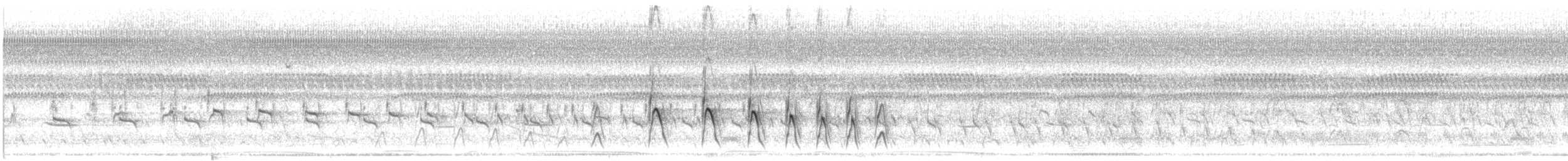 Greater Thornbird - ML646731650