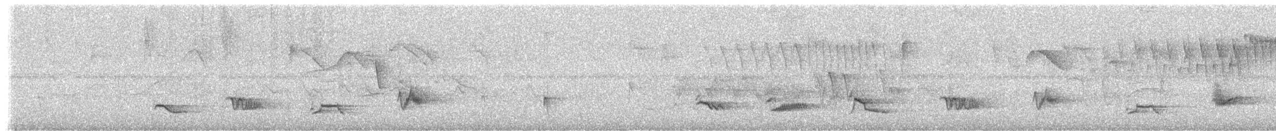 Creamy-bellied Thrush - ML646732035