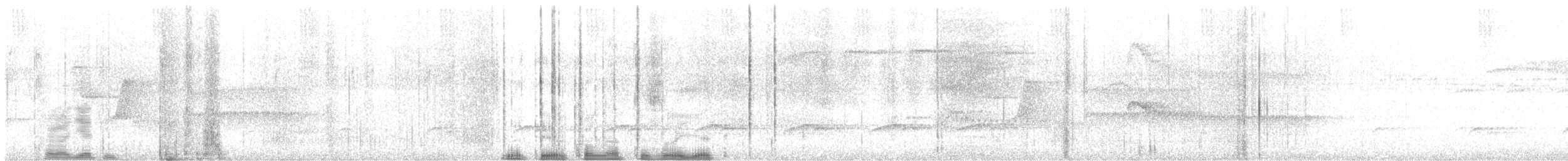 Bright-rumped Attila - ML646732045