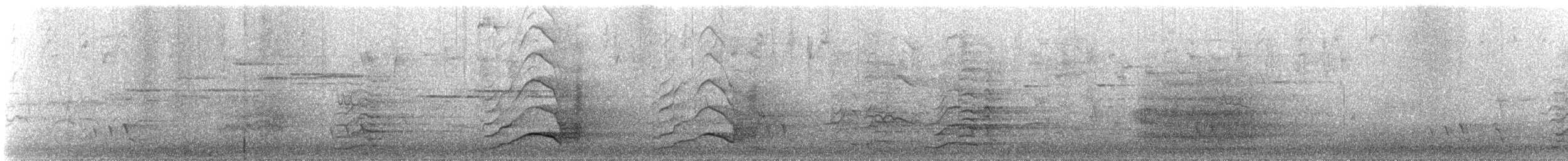 Yellow-tailed Black-Cockatoo - ML646732272