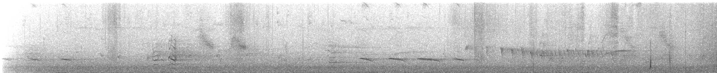 White-naped Honeyeater - ML646732442