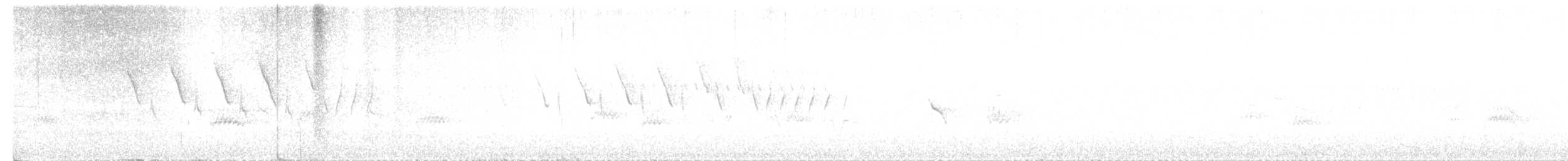 Nashville Warbler - ML646732673