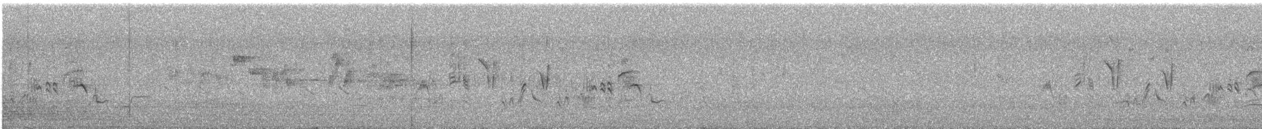 Zarcero Políglota - ML646732771