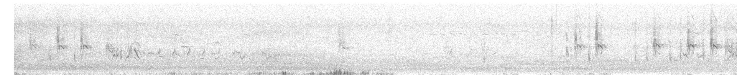 Zarcero Políglota - ML646732772