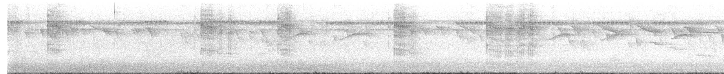 Pico Pechimoteado - ML646732785