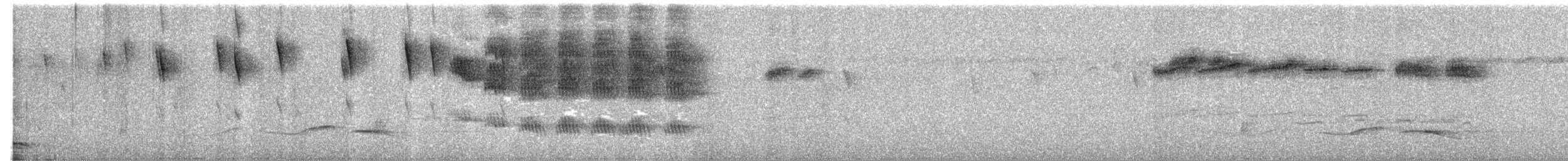 Sibia Gris - ML646732877