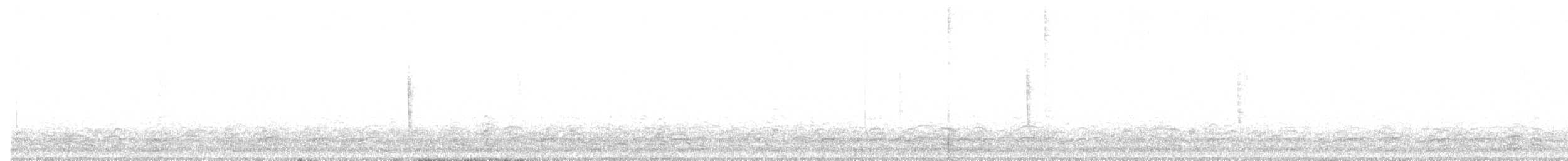 Chingolo Zorruno (grupo unalaschcensis) - ML646733074