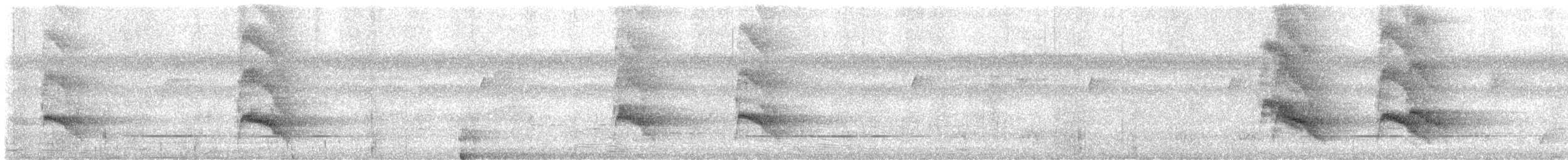 Violaceous Jay - ML646733528