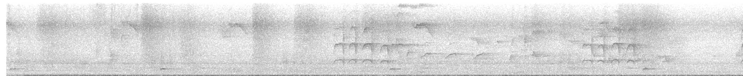 asian barbet sp. - ML646733603