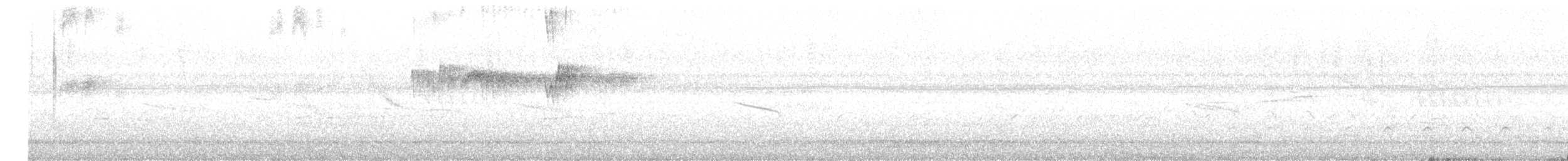 Tropical Kingbird - ML646733664