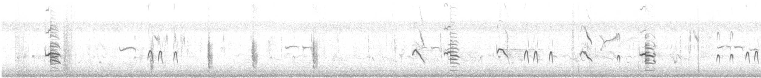 Zankaluze eurasiarra - ML646733929