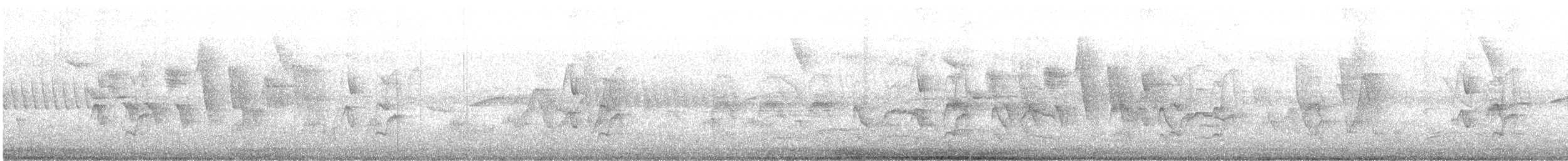 Sooty-fronted Spinetail - ML646734031